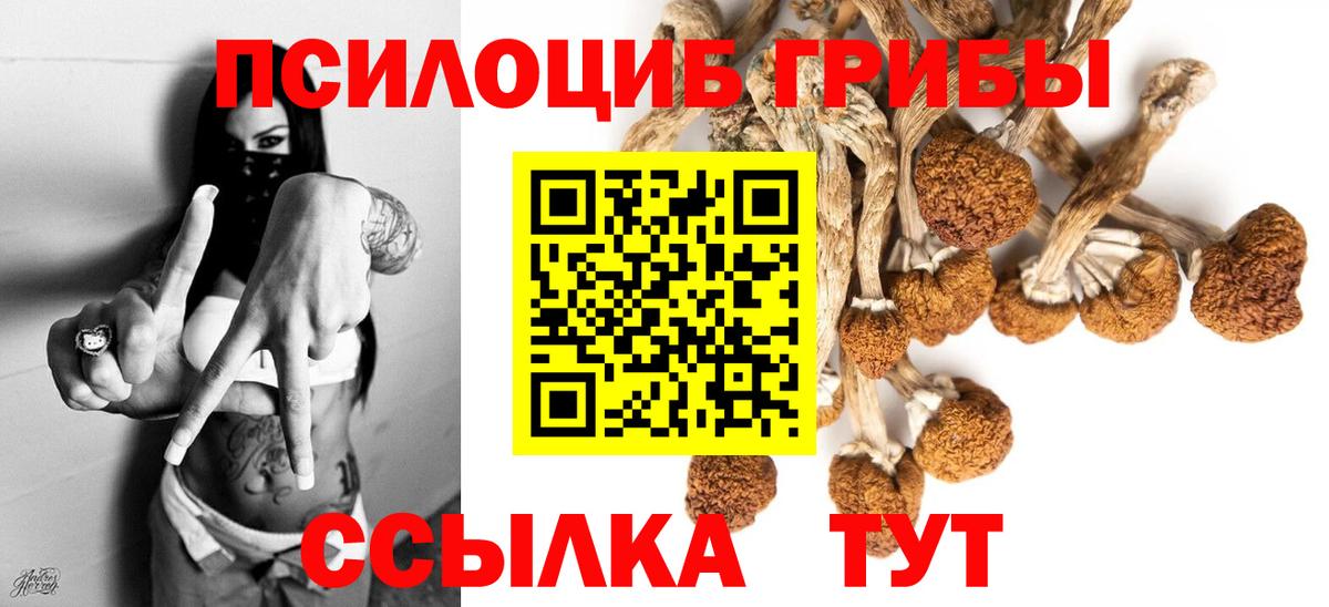 Надым  Псилоцибиновые грибы MAGIC MUSHROOMS  Вход с VPN  Галлюциногенные грибы мицелий 